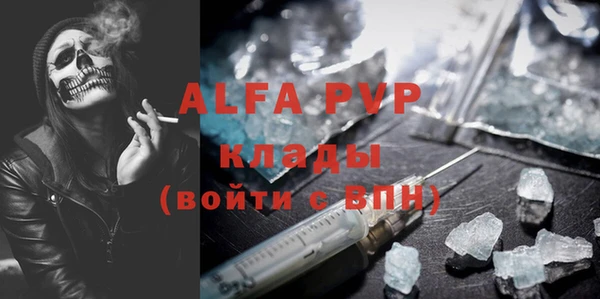 стаф Зеленокумск