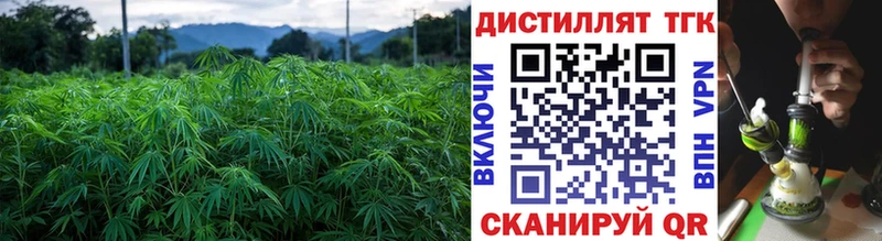 Купить закладки  Каменск-Шахтинский  ТГК вейп с тгк 