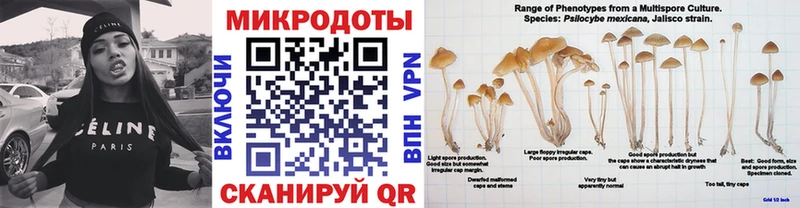 Псилоцибиновые грибы Magic Shrooms  Купить где  Каменск-Шахтинский 